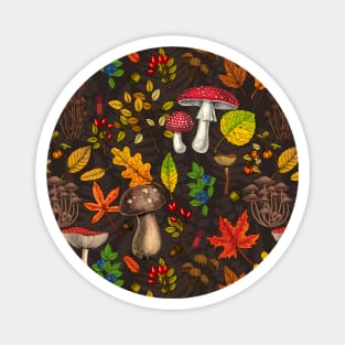 Autumn mushrooms, leaves, nuts and berries on dark brown Magnet
